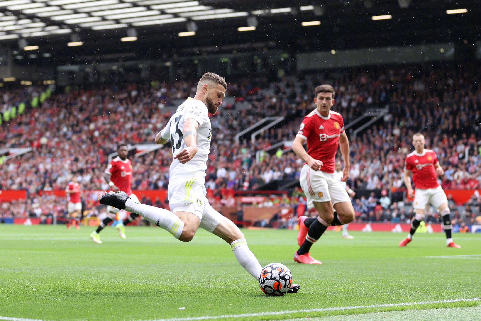 子羽毛球领 子羽毛球领